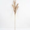 Artificial-Flower-Reed-GS-27921009_2-1.jpg Artificial Flower 21*119CM Reed GS-27921009 Single Flowers YeahFlower is one of Chinese leading OEM manufacturers and exporters , supplying the silk flowers, wholesale artificial trees