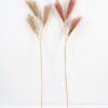 Artificial-Flower-Reed-GS-27921010_1-1.jpg Artificial Flower 15*105CM Reed GS-27921010 Single Flowers YeahFlower is one of Chinese leading OEM manufacturers and exporters , supplying the silk flowers, wholesale artificial trees