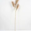 Artificial-Flower-Reed-GS-27921010_3-1.jpg Artificial Flower 15*105CM Reed GS-27921010 Single Flowers YeahFlower is one of Chinese leading OEM manufacturers and exporters , supplying the silk flowers, wholesale artificial trees