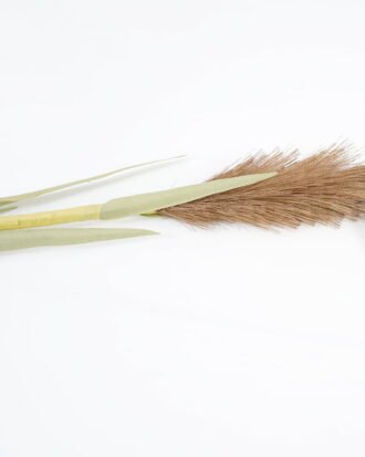 Artificial Flower 5*141CM Reed GS-27921011 Single Flowers YeahFlower is one of Chinese leading OEM manufacturers and exporters , supplying the silk flowers, wholesale artificial trees Artificial Flower 5*141CM Reed GS-27921011 Single Flowers YeahFlower is one of Chinese leading OEM manufacturers and exporters , supplying the silk flowers, wholesale artificial trees