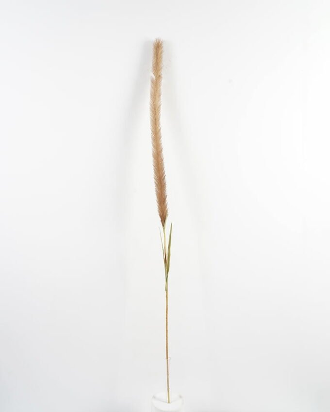 Artificial-Flower-Reed-GS-27921011_5-1.jpg Artificial Flower 5*141CM Reed GS-27921011 Single Flowers YeahFlower is one of Chinese leading OEM manufacturers and exporters , supplying the silk flowers, wholesale artificial trees