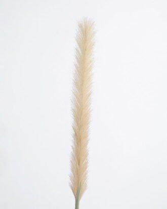 Artificial Flower 5*107CM Reed GS-27921012 Single Flowers YeahFlower is one of Chinese leading OEM manufacturers and exporters , supplying the silk flowers, wholesale artificial trees Artificial Flower 5*107CM Reed GS-27921012 Single Flowers YeahFlower is one of Chinese leading OEM manufacturers and exporters , supplying the silk flowers, wholesale artificial trees