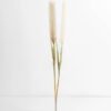 Artificial Flower 5*79CM Reed GS-27921013 Single Flowers YeahFlower is one of Chinese leading OEM manufacturers and exporters , supplying the silk flowers, wholesale artificial trees