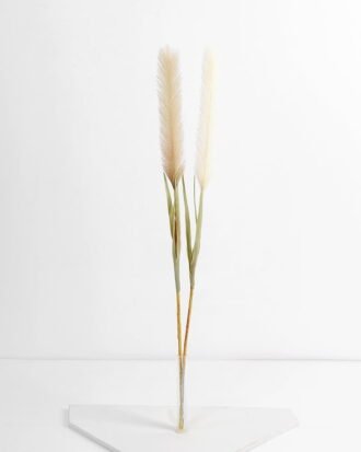Artificial Flower 5*79CM Reed GS-27921013 Single Flowers YeahFlower is one of Chinese leading OEM manufacturers and exporters , supplying the silk flowers, wholesale artificial trees Artificial Flower 5*79CM Reed GS-27921013 Single Flowers YeahFlower is one of Chinese leading OEM manufacturers and exporters , supplying the silk flowers, wholesale artificial trees