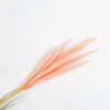 Artificial Flower 8*114CM Reed GS-27921015 Single Flowers YeahFlower is one of Chinese leading OEM manufacturers and exporters , supplying the silk flowers, wholesale artificial trees