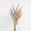 Artificial Flower 15*90CM  Reeds GS-35121010 Single Flowers YeahFlower is one of Chinese leading OEM manufacturers and exporters , supplying the silk flowers, wholesale artificial trees