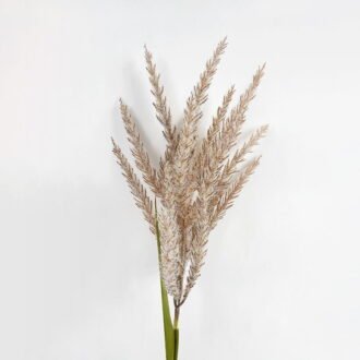 Artificial Flower 15*90CM Reeds GS-35121010 Single Flowers YeahFlower is one of Chinese leading OEM manufacturers and exporters , supplying the silk flowers, wholesale artificial trees Artificial Flower 15*90CM Reeds GS-35121010 Single Flowers YeahFlower is one of Chinese leading OEM manufacturers and exporters , supplying the silk flowers, wholesale artificial trees