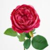 Artificial Flower 15*69CM Single English Rose GS-44321009 Single Flowers YeahFlower is one of Chinese leading OEM manufacturers and exporters , supplying the silk flowers, wholesale artificial trees