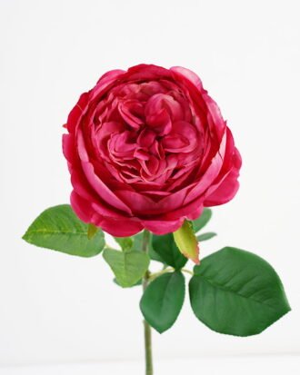 Artificial Flower 15*69CM Single English Rose GS-44321009 Single Flowers YeahFlower is one of Chinese leading OEM manufacturers and exporters , supplying the silk flowers, wholesale artificial trees Artificial Flower 15*69CM Single English Rose GS-44321009 Single Flowers YeahFlower is one of Chinese leading OEM manufacturers and exporters , supplying the silk flowers, wholesale artificial trees