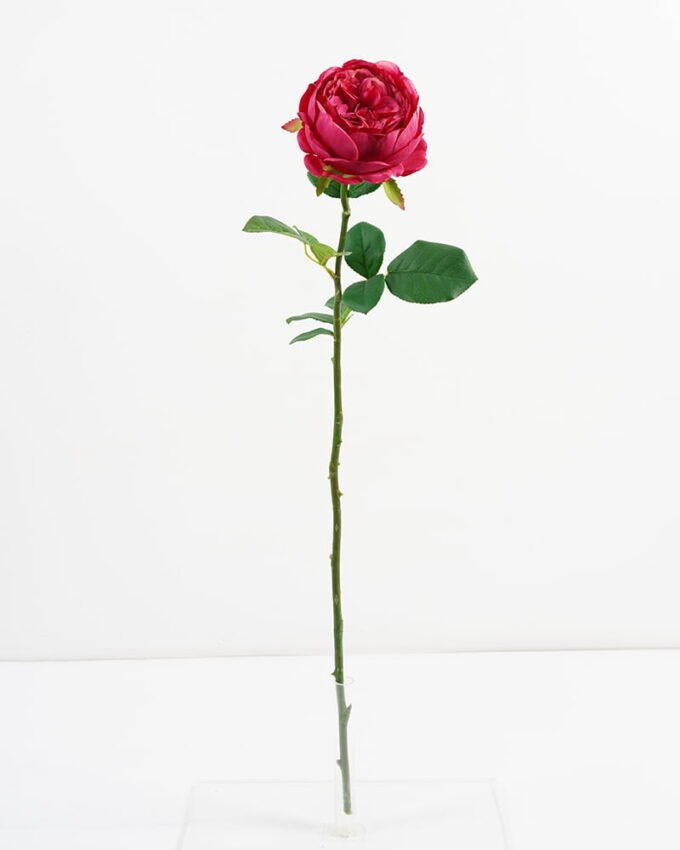 Artificial Flower 15*69CM Single English Rose GS-44321009 Single Flowers YeahFlower is one of Chinese leading OEM manufacturers and exporters , supplying the silk flowers, wholesale artificial trees