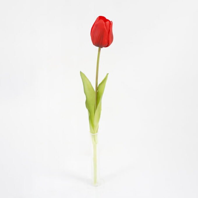 Artificial Flower Single Tulip GS-41521008_2 Artificial Flower 5*39CM Single Tulip GS-41521008 Single Flowers YeahFlower is one of Chinese leading OEM manufacturers and exporters , supplying the silk flowers, wholesale artificial trees