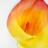 Artificial Flower 15*93CM Single big Calla lily GS-41521004 Single Flowers YeahFlower is one of Chinese leading OEM manufacturers and exporters , supplying the silk flowers, wholesale artificial trees