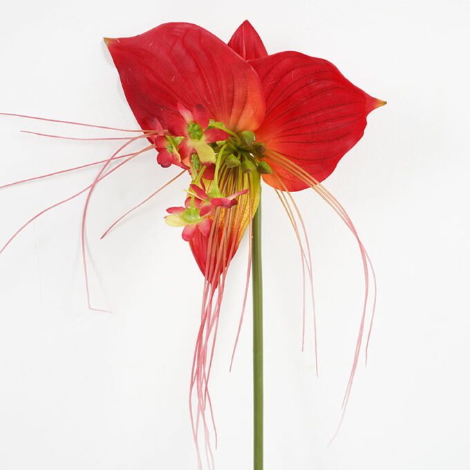 Artificial Flower 20*77CM Single tiger orchid GS-35121003 Single Flowers YeahFlower is one of Chinese leading OEM manufacturers and exporters , supplying the silk flowers, wholesale artificial trees