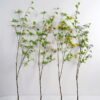 Artificial Flower 35*135CM Spay GS-39121008 Single Flowers YeahFlower is one of Chinese leading OEM manufacturers and exporters , supplying the silk flowers, wholesale artificial trees