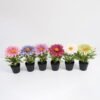 Artificial Flower 18*15*23CM Sunflowers in pp pot GS-05521007 Potted Flowers&Plants 3,000+ sqm showroom with thousands of artificial flowers, plants & trees ready for global sourcing.