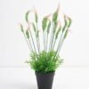 Artificial Flower 26*26*44cm Wheat in PP pot GS-03321101 Potted Flowers&Plants YeahFlower is one of Chinese leading OEM manufacturers and exporters , supplying the silk flowers, wholesale artificial trees