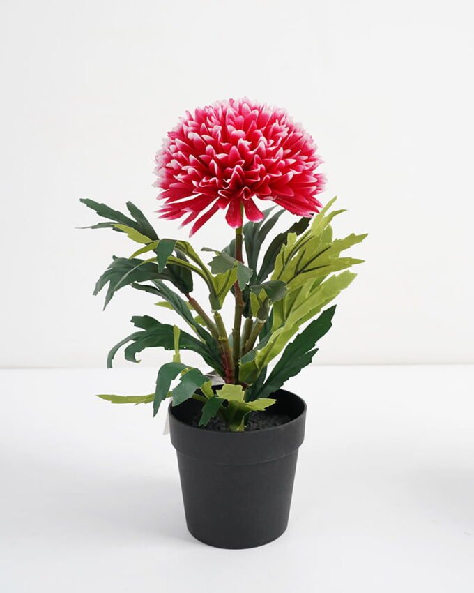 Artificial Flower 18*15*28CM chrysanthemum in pp pot GS-05521008-P2 Potted Flowers&Plants 3,000+ sqm showroom with thousands of artificial flowers, plants & trees ready for global sourcing.