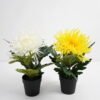 Artificial Flower 20*20*28CM chrysanthemum in pp pot GS-05521009 Potted Flowers&Plants YeahFlower is one of Chinese leading OEM manufacturers and exporters , supplying the silk flowers, wholesale artificial trees