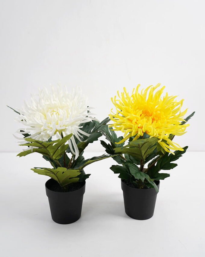Artificial Flower 20*20*28CM chrysanthemum in pp pot GS-05521009 Potted Flowers&Plants YeahFlower is one of Chinese leading OEM manufacturers and exporters , supplying the silk flowers, wholesale artificial trees
