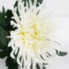 Artificial Flower 20*20*28CM chrysanthemum in pp pot GS-05521009 Potted Flowers&Plants YeahFlower is one of Chinese leading OEM manufacturers and exporters , supplying the silk flowers, wholesale artificial trees
