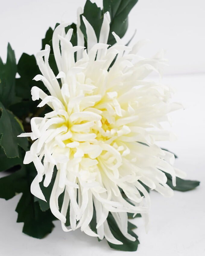 Artificial Flower 20*20*28CM chrysanthemum in pp pot GS-05521009 Potted Flowers&Plants YeahFlower is one of Chinese leading OEM manufacturers and exporters , supplying the silk flowers, wholesale artificial trees