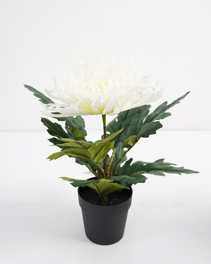 Artificial Flower 20*20*28CM chrysanthemum in pp pot GS-05521009 Potted Flowers&Plants YeahFlower is one of Chinese leading OEM manufacturers and exporters , supplying the silk flowers, wholesale artificial trees