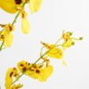Artificial Flower 26*103CM dancing orchid, SATIN GS-44321010 Single Flowers YeahFlower is one of Chinese leading OEM manufacturers and exporters , supplying the silk flowers, wholesale artificial trees