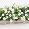 Artificial Flower 37*15*16cm flower in wooden pot GS-03321055 Potted Flowers&Plants YeahFlower is one of Chinese leading OEM manufacturers and exporters , supplying the silk flowers, wholesale artificial trees