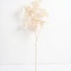 Artificial Flower 22*22*72cm ginkgo leaf *3 GS-16821001 Single Flowers YeahFlower is one of Chinese leading OEM manufacturers and exporters , supplying the silk flowers, wholesale artificial trees