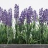 Artificial Flower 23*18*26cm lavender in wooden pot GS-03321046 Potted Flowers&Plants 3,000+ sqm showroom with thousands of artificial flowers, plants & trees ready for global sourcing.