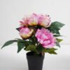 Artificial Flower 27*23*27CM peony in pp pot GS-05521012-Z2 Potted Flowers&Plants 3,000+ sqm showroom with thousands of artificial flowers, plants & trees ready for global sourcing.