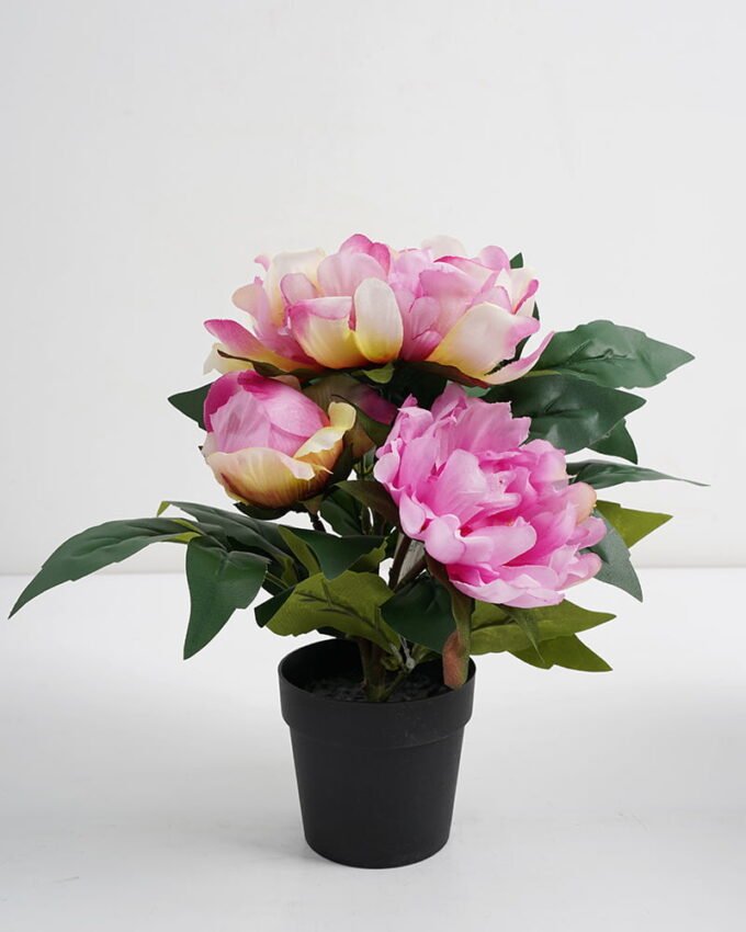 Artificial Flower 27*23*27CM peony in pp pot GS-05521012-Z2 Potted Flowers&Plants 3,000+ sqm showroom with thousands of artificial flowers, plants & trees ready for global sourcing.
