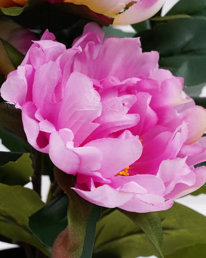 Artificial Flower 27*23*27CM peony in pp pot GS-05521012-Z2 Potted Flowers&Plants 3,000+ sqm showroom with thousands of artificial flowers, plants & trees ready for global sourcing.