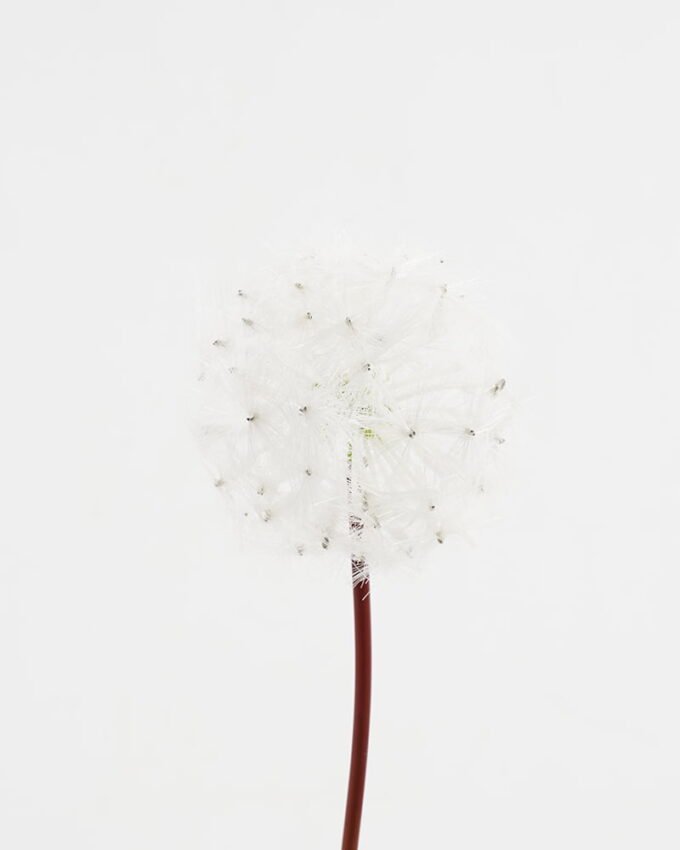 Artificial Flower 10*65CM single Dandelion GS-41621008-W1 Single Flowers YeahFlower is one of Chinese leading OEM manufacturers and exporters , supplying the silk flowers, wholesale artificial trees