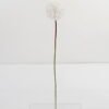 Artificial Flower 10*65CM single Dandelion GS-41621008-W1 Single Flowers YeahFlower is one of Chinese leading OEM manufacturers and exporters , supplying the silk flowers, wholesale artificial trees