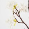 Artificial Flower 21*65CM winter jasmine(S) GS-40719005-W2 Single Flowers YeahFlower is one of Chinese leading OEM manufacturers and exporters , supplying the silk flowers, wholesale artificial trees