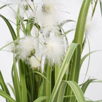 Artificial Grass 55*78cCM Grass in pp pot GS-62921001 Grass&PLANT YeahFlower is one of Chinese leading OEM manufacturers and exporters , supplying the silk flowers, wholesale artificial trees