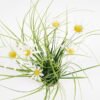 Artificial Grass 25*42CM Daisy with linen wrapped GS-62921004 Grass&PLANT YeahFlower is one of Chinese leading OEM manufacturers and exporters , supplying the silk flowers, wholesale artificial trees
