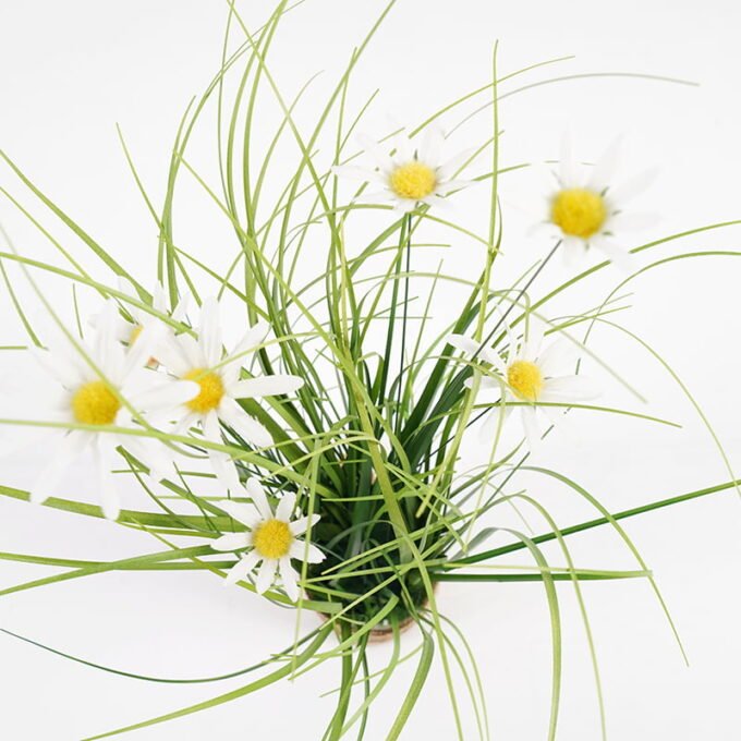 Artificial Grass 25*42CM Daisy with linen wrapped GS-62921004 Grass&PLANT YeahFlower is one of Chinese leading OEM manufacturers and exporters , supplying the silk flowers, wholesale artificial trees