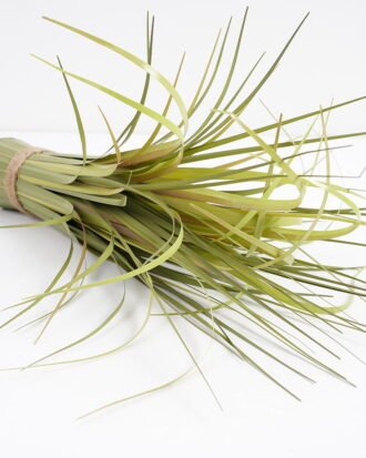 Artificial Grass 30*30*44cm Grass GS-29421005 Grass&PLANT YeahFlower is one of Chinese leading OEM manufacturers and exporters , supplying the silk flowers, wholesale artificial trees