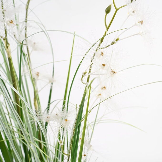 Artificial Grass 29*79CM Grass in pe pot GS-62921013 Grass&PLANT YeahFlower is one of Chinese leading OEM manufacturers and exporters , supplying the silk flowers, wholesale artificial trees