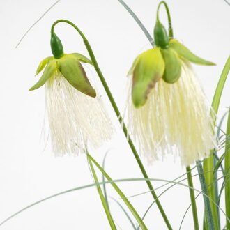 Artificial Grass 30*51CM Grass in pe pot GS-62921016 Grass&PLANT YeahFlower is one of Chinese leading OEM manufacturers and exporters , supplying the silk flowers, wholesale artificial trees