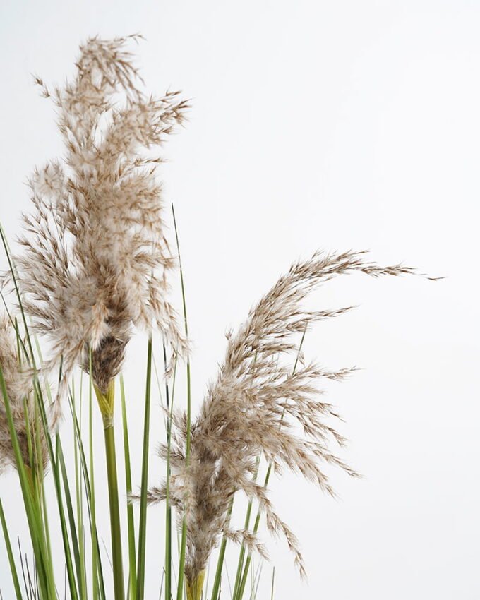 Artificial Grass 33*40*86cm Grass in pp pot GS-29421009 Grass&PLANT YeahFlower is one of Chinese leading OEM manufacturers and exporters , supplying the silk flowers, wholesale artificial trees