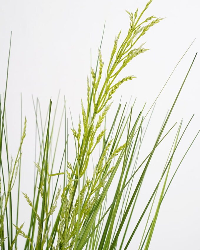 Artificial Grass 33*33*62cm Grass in pp pot GS-29421018-G2 Grass&PLANT YeahFlower is one of Chinese leading OEM manufacturers and exporters , supplying the silk flowers, wholesale artificial trees