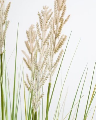 Artificial Grass 81*122CM Grass in pp pot GS-61921012 Grass&PLANT YeahFlower is one of Chinese leading OEM manufacturers and exporters , supplying the silk flowers, wholesale artificial trees