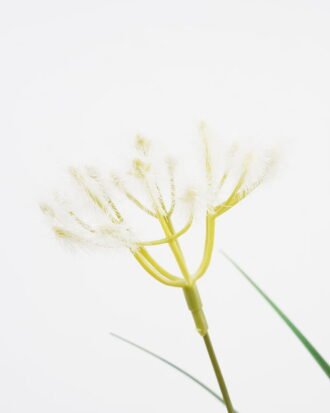 Artificial Grass 63*117CM Grass in pp pot GS-61921013 Grass&PLANT YeahFlower is one of Chinese leading OEM manufacturers and exporters , supplying the silk flowers, wholesale artificial trees