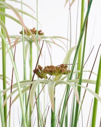 Artificial Grass 56*124CM Grass in pp pot GS-61921015 Grass&PLANT YeahFlower is one of Chinese leading OEM manufacturers and exporters , supplying the silk flowers, wholesale artificial trees