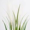 Artificial Grass 40*70CM Grass in pp pot GS-61921018 Grass&PLANT YeahFlower is one of Chinese leading OEM manufacturers and exporters , supplying the silk flowers, wholesale artificial trees