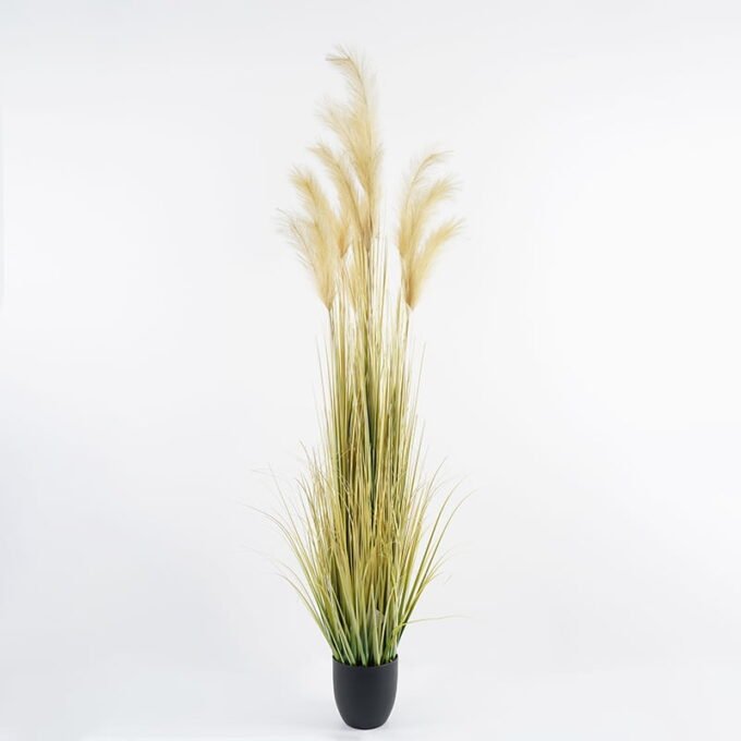 Artificial Grass 50*50*180CM Grass in pp pot GS-62321012 Potted Flowers&Plants YeahFlower is one of Chinese leading OEM manufacturers and exporters , supplying the silk flowers, wholesale artificial trees