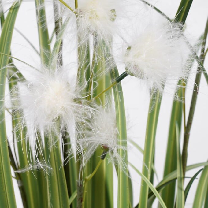 Artificial Grass Grass in pp pot GS-62921002_4 Artificial Grass 64*100CM Grass in pp pot GS-62921002 Grass&PLANT YeahFlower is one of Chinese leading OEM manufacturers and exporters , supplying the silk flowers, wholesale artificial trees